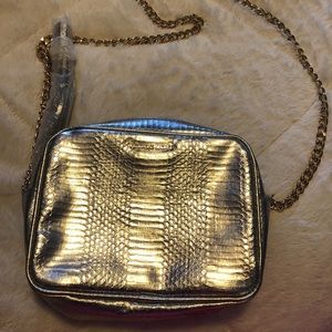 Victoria’s Secret Silver Purse